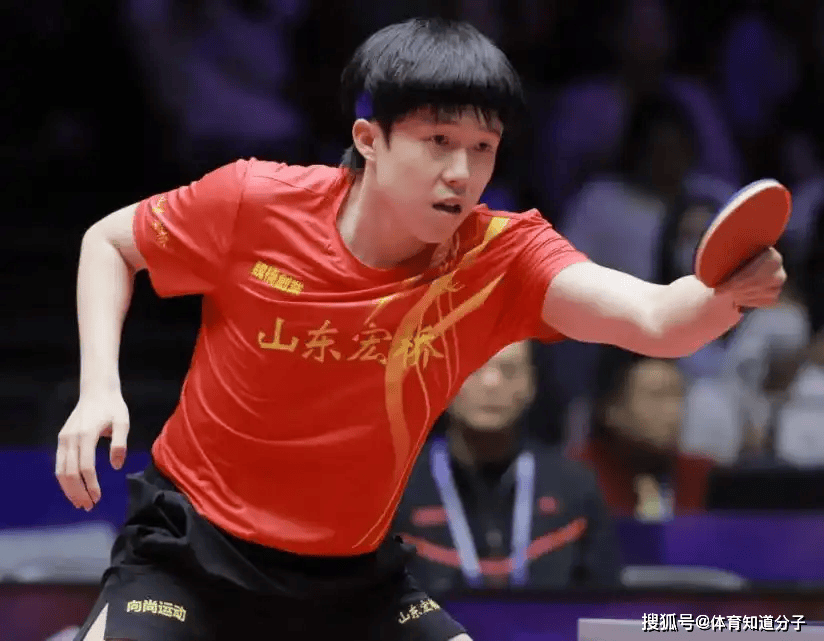 表演项目 表演项目