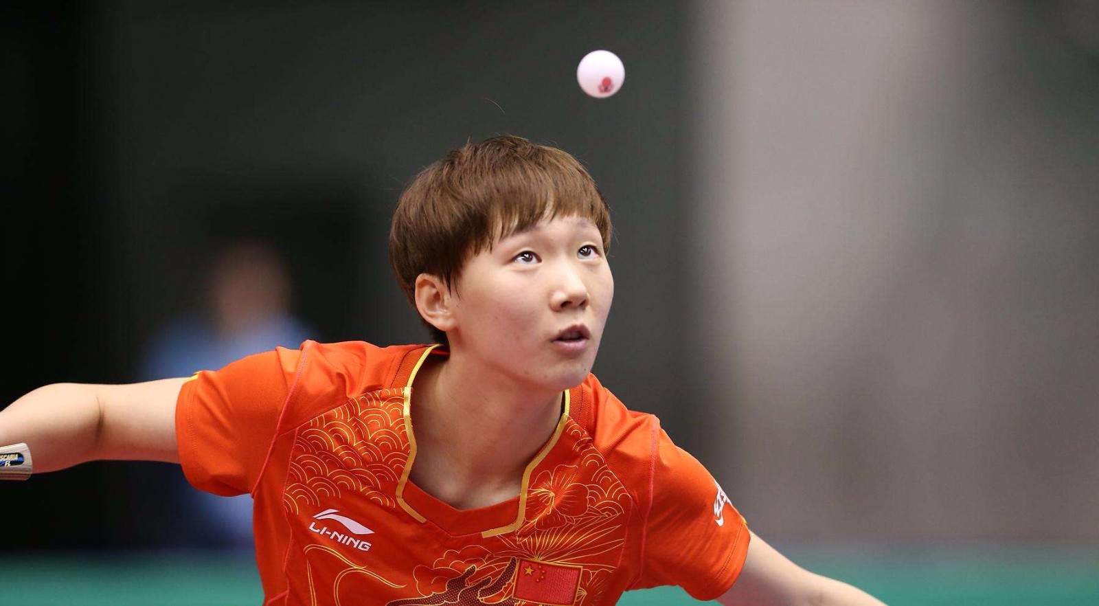 劳尔的教练 劳尔的教练