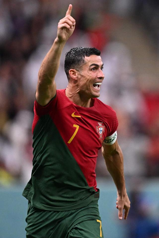 如果竞逐者 如果竞逐者